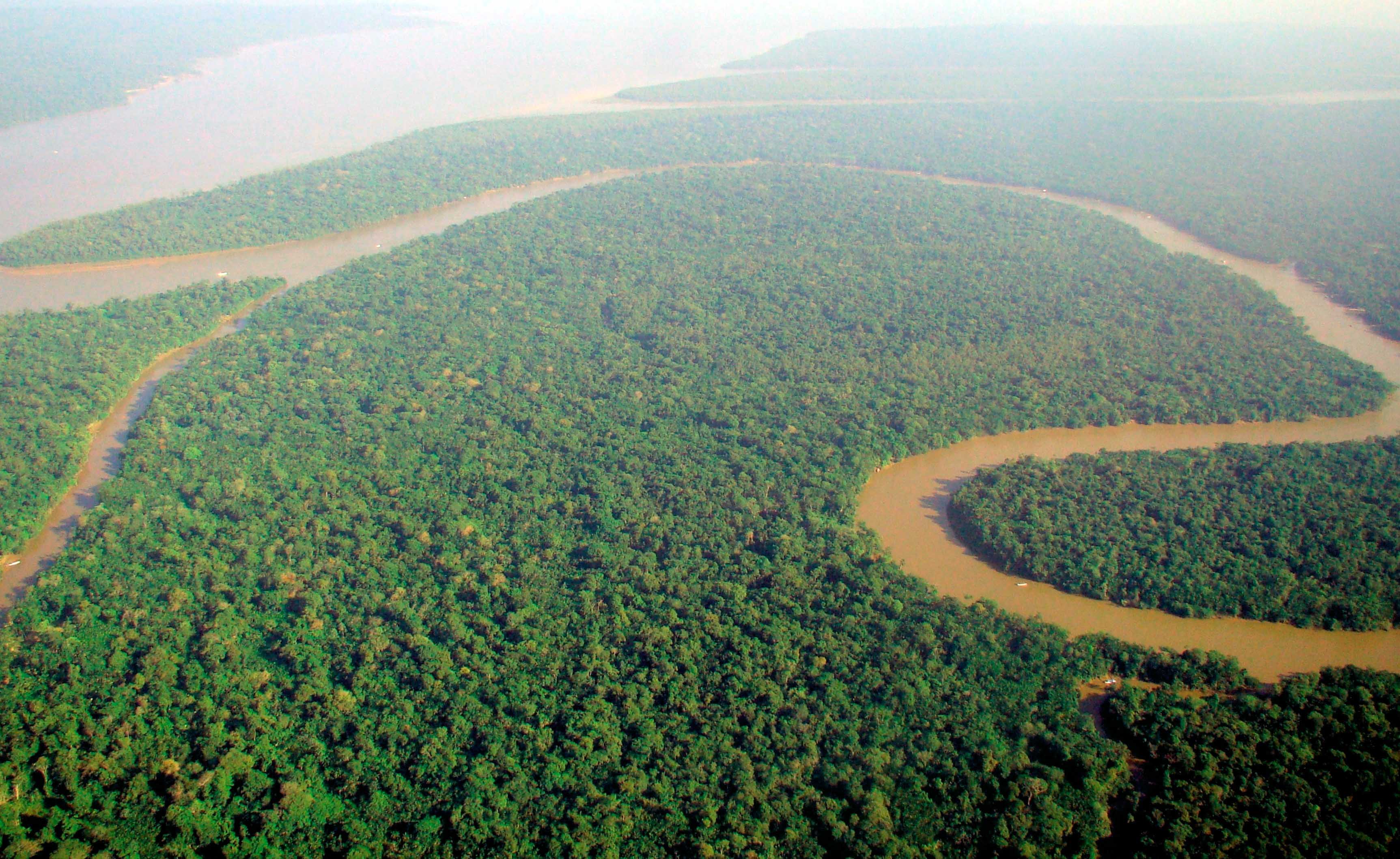 Aerial_view_of_the_Amazon_Rainforest Wikimedia