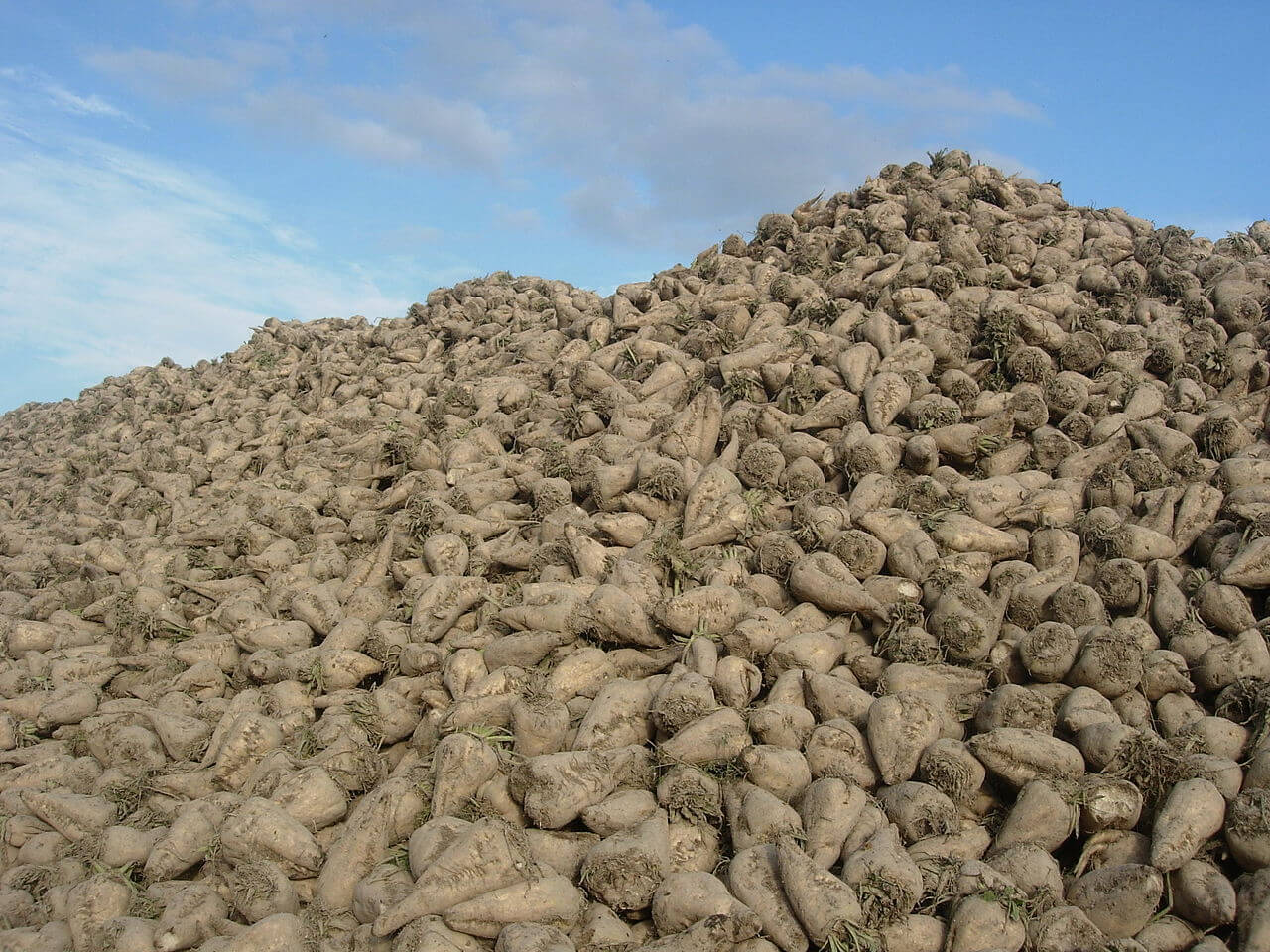 <i class='fa fa-lock' aria-hidden='true'></i> La bulle des biocarburants <i class='fa fa-lock' aria-hidden='true'></i> La bulle des biocarburants