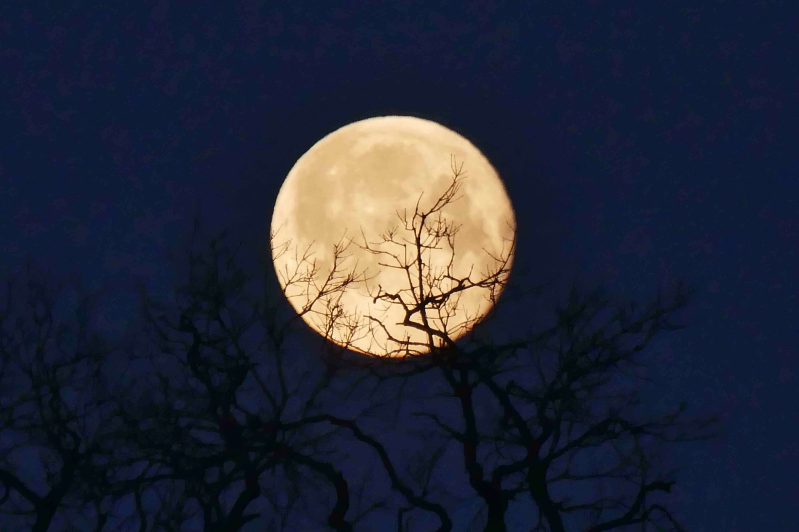 <i class='fa fa-lock' aria-hidden='true'></i> L’art de ne pas regarder les problèmes en face <i class='fa fa-lock' aria-hidden='true'></i> L’art de ne pas regarder les problèmes en face